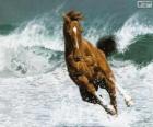 Лошади в волны